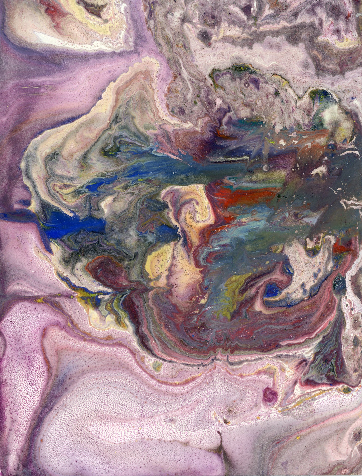 Radiographie d'une fleur - Rose 2