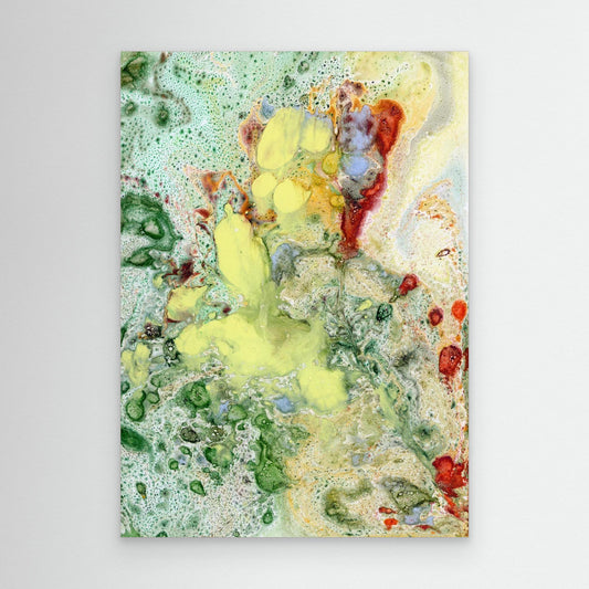 Mimosa - canva