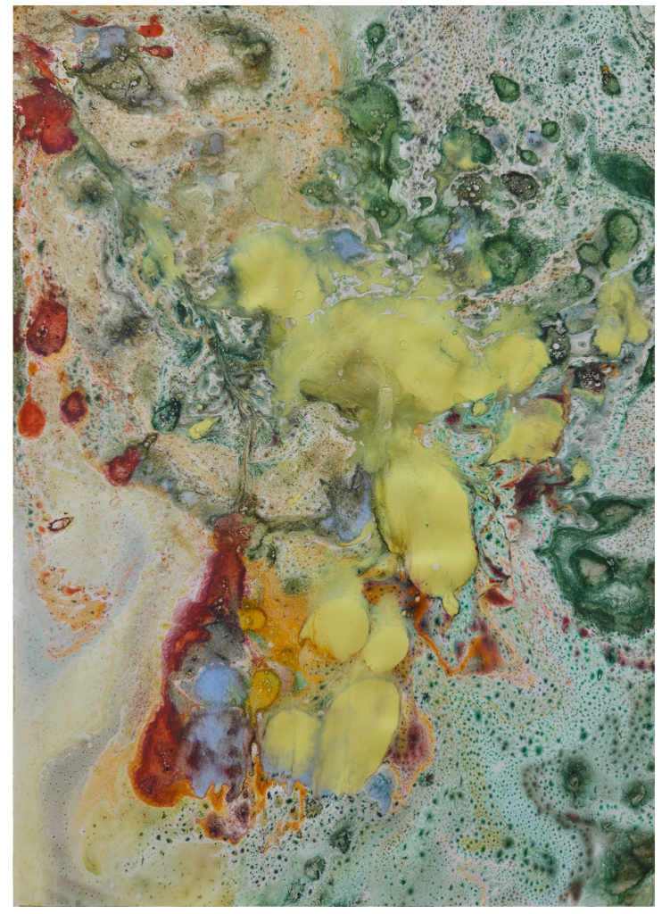 Triptyque Végétalis - Oak Mimosa Payne - Toiles 80x120 cm