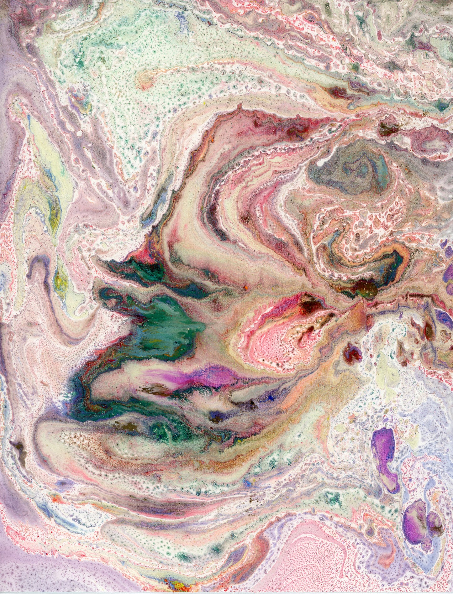 Diptyque - Radiographie d'une fleur - Corail - Aluminium 80x60 cm