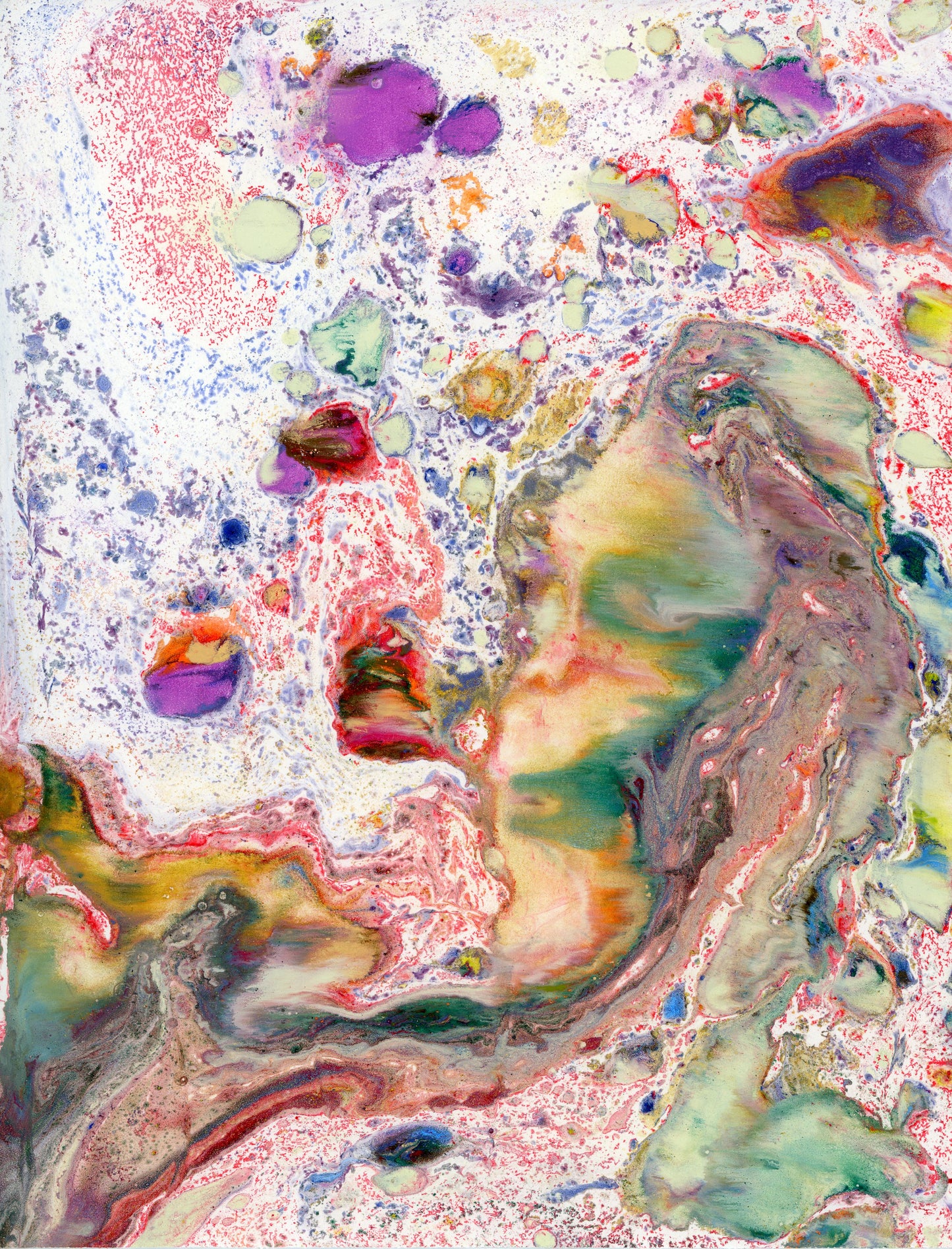 Diptyque - Radiographie d'une fleur - Corail - Aluminium 80x60 cm