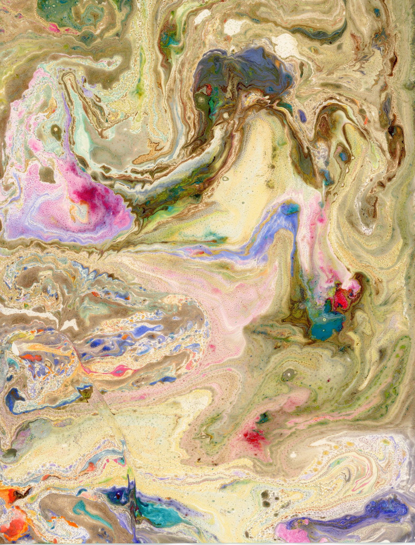 Radiographie d'une fleur - Rose 1