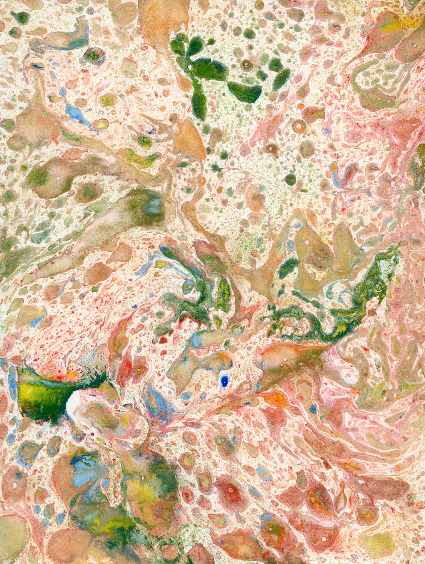 Diptyque - Corail - édition limitée - 2 tirages sur Aluminium 60x80 cm chaque.