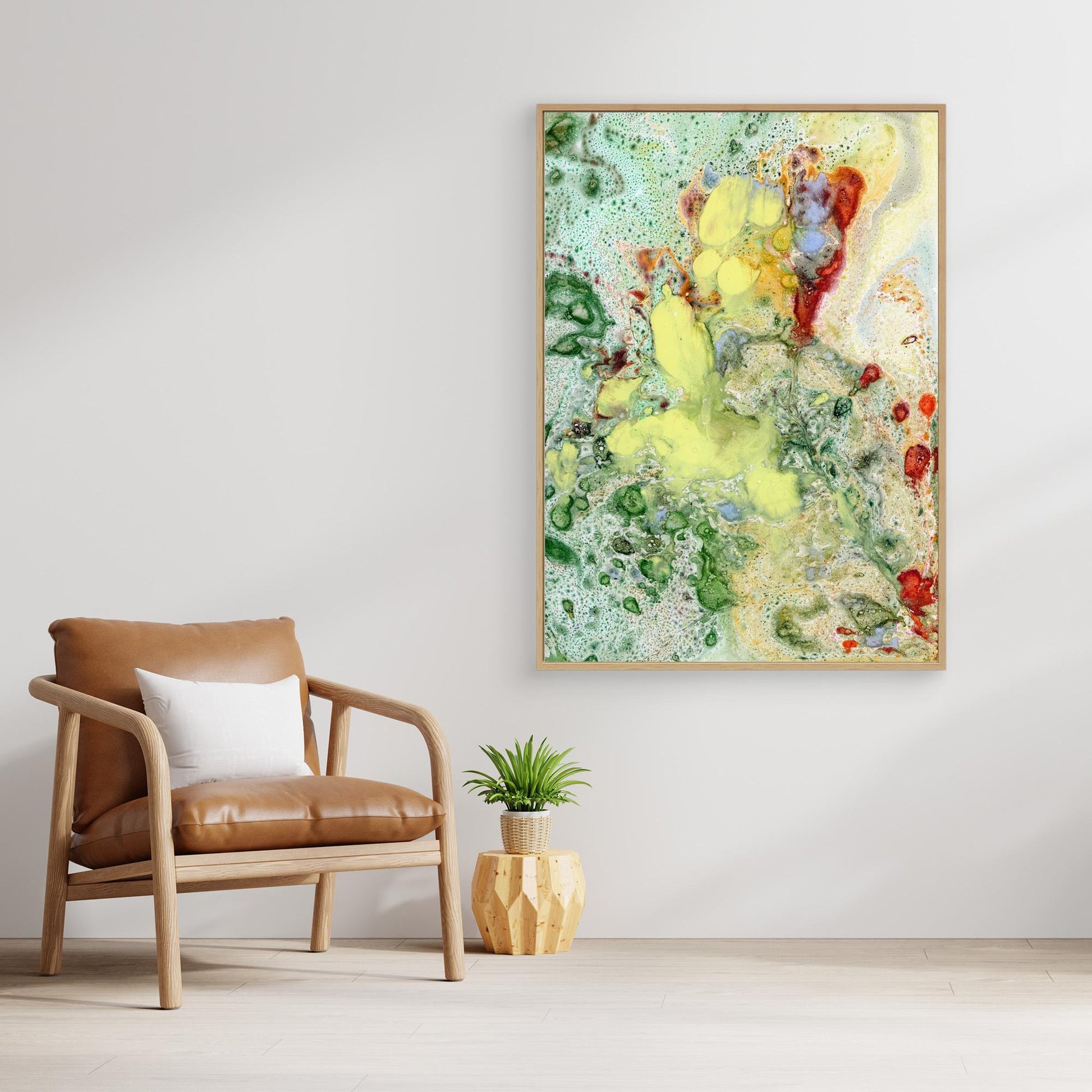 Mimosa - canva